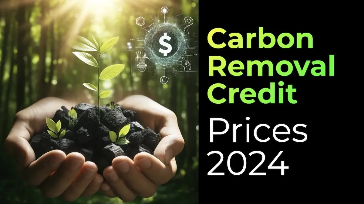 Carbon removal credit prices over time showing growth trajectory