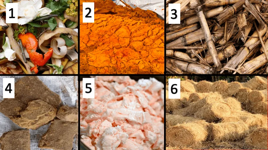 Various biomass feedstock types suitable for gasification including wood chips, agricultural residues, and energy crops