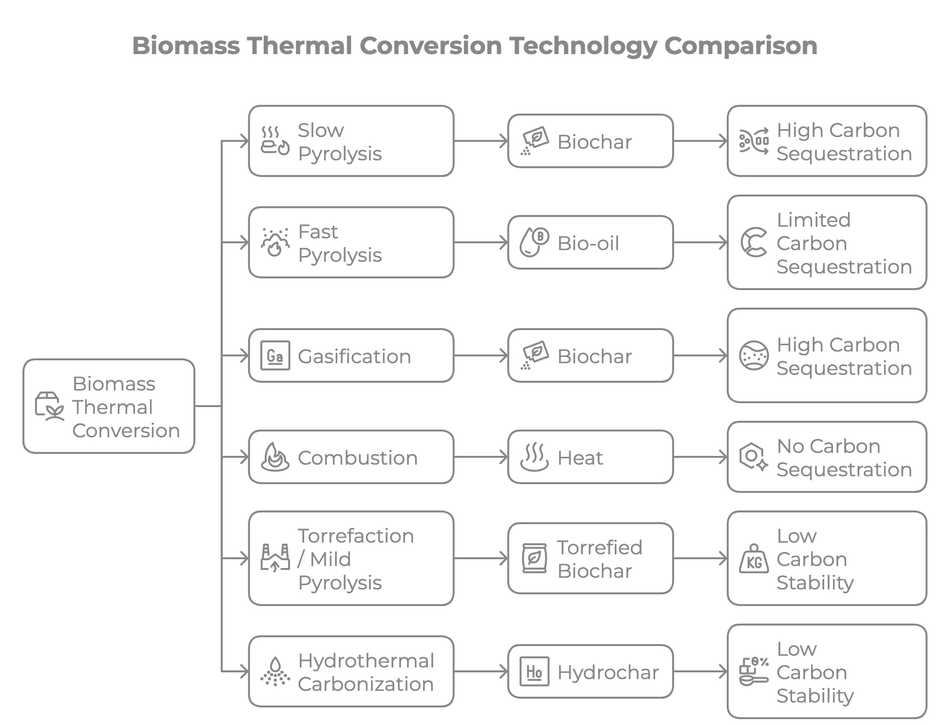 Biomass thermal conversion technology comparison flowchart — slow pyrolysis produces biochar with high carbon sequestration, fast pyrolysis yields bio-oil, gasification produces biochar and syngas, combustion generates heat with no carbon sequestration, torrefaction creates torrefied biochar, and hydrothermal carbonization produces hydrochar